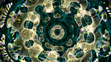green abstract fractals